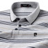 Pierre Cardin Men's Grey & Blue Striped Polo P61113013J93